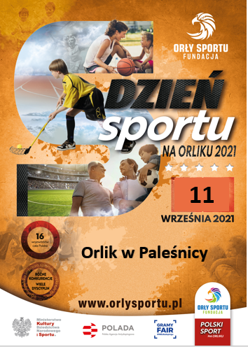 plakat DSnO palesnica