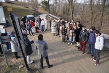  studencipk