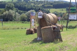 Bieśnik