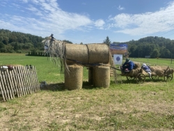 Bieśnik 2