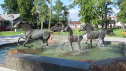 Czytaj więcej: Od stycznia 2026 roku w Polsce przybędzie 6 nowych miast 