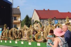 dozwie