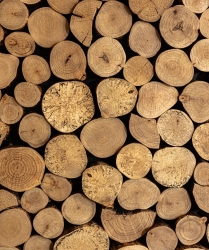 Czytaj więcej: Ogłoszenie prywatne, płatne 